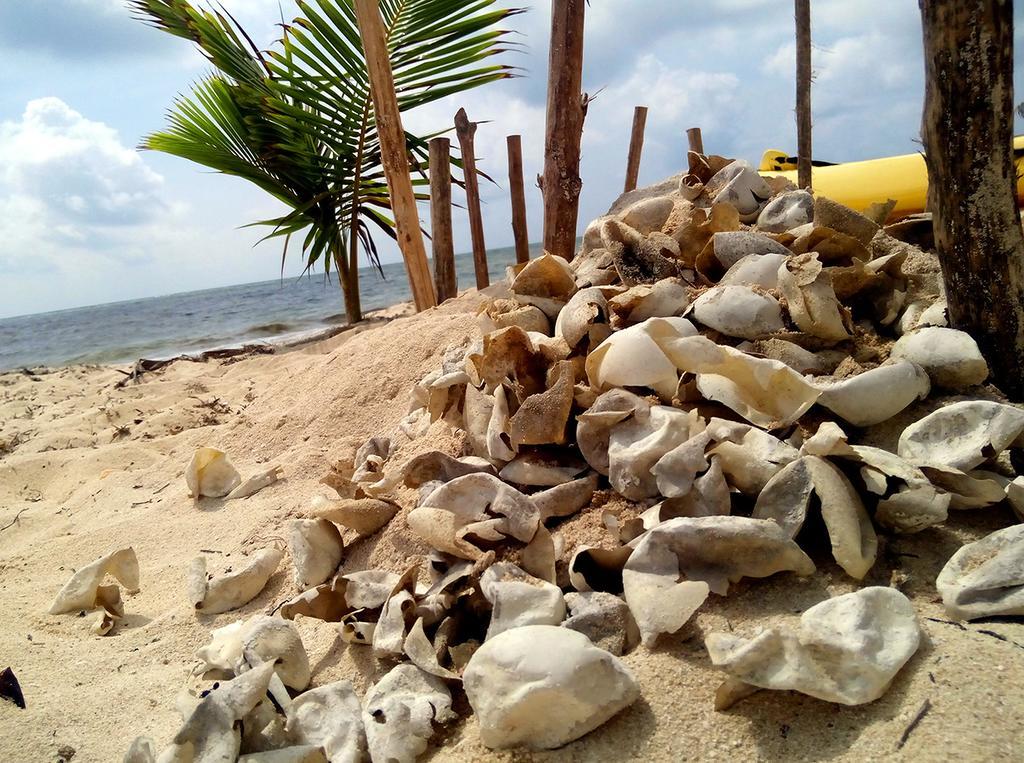 Mayan Beach Garden El Placer Exterior photo